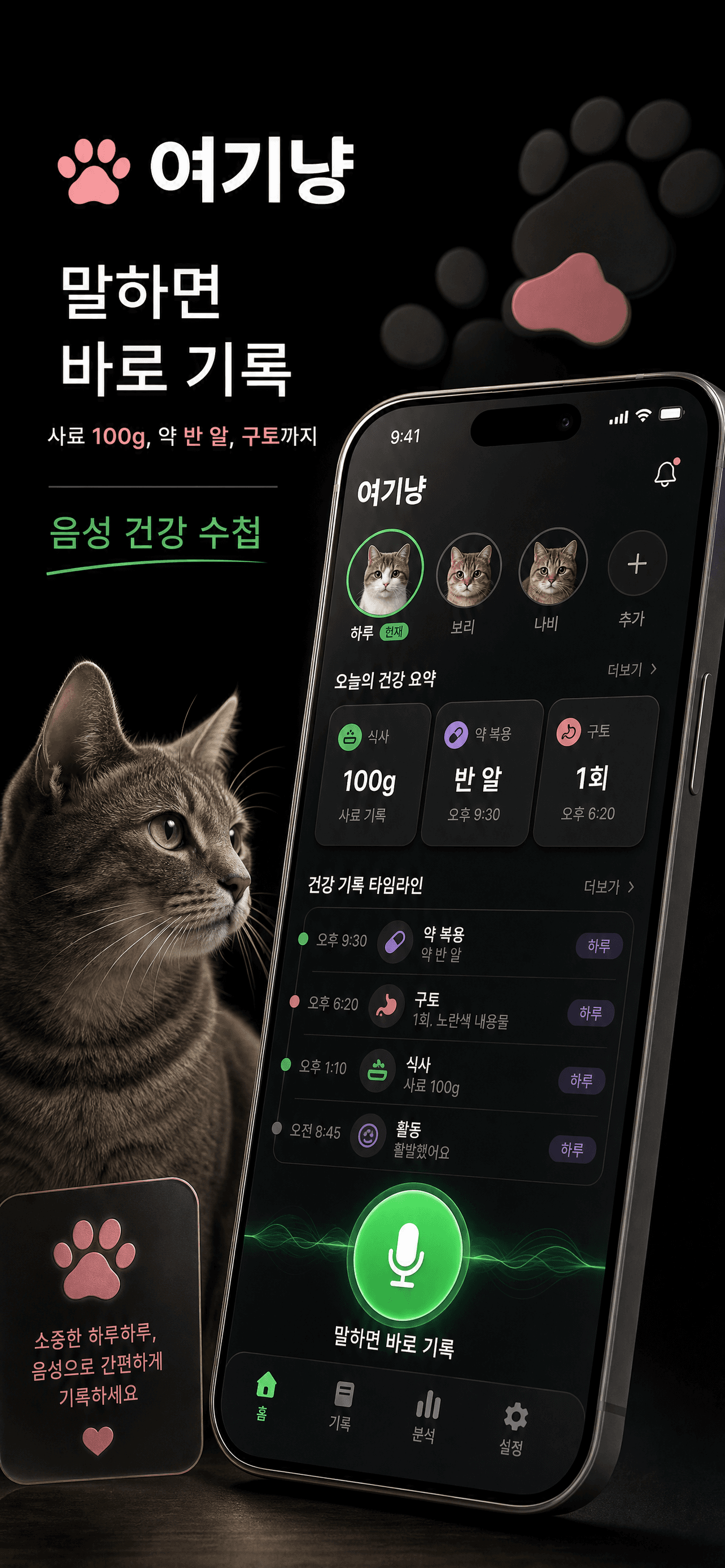 여기냥 음성 기록 화면
