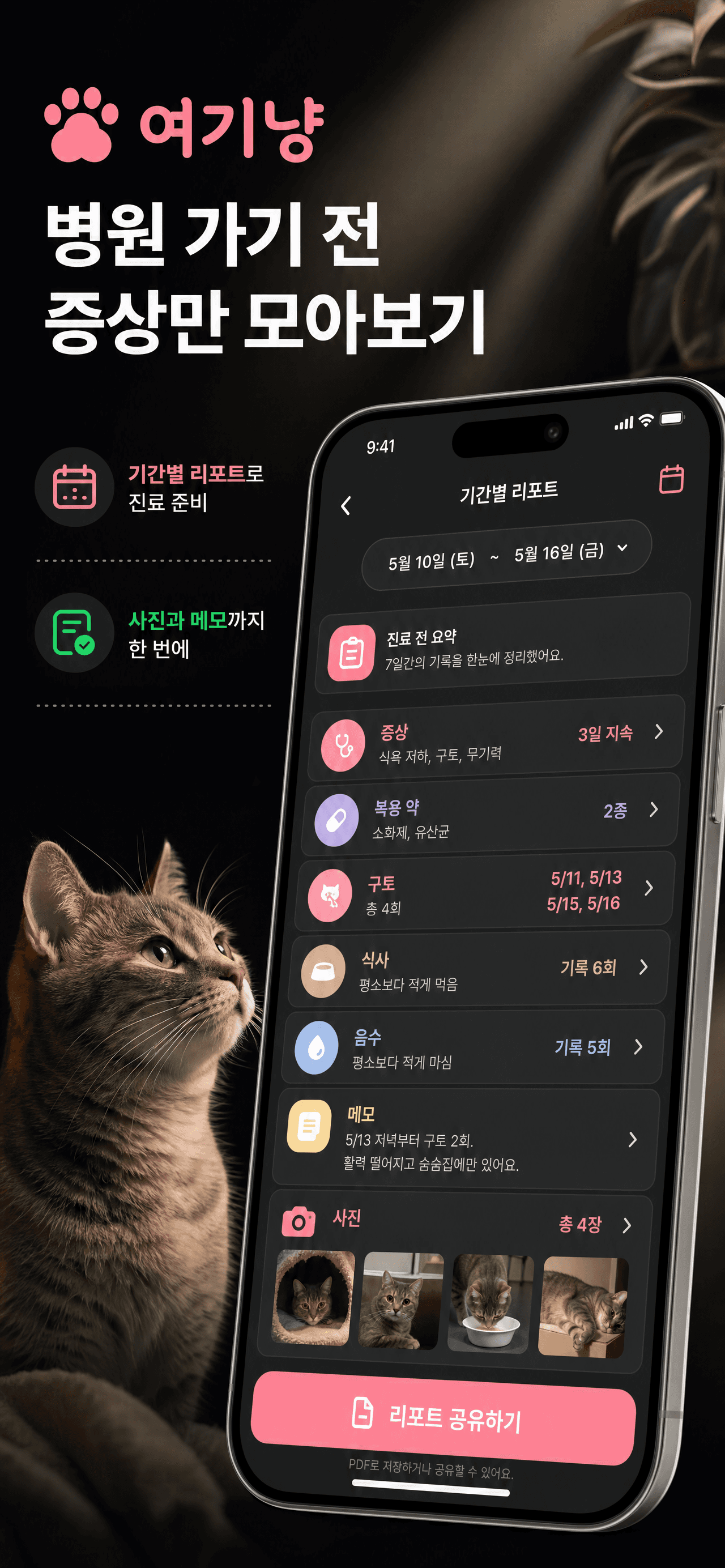 진료 전 요약 홍보 이미지